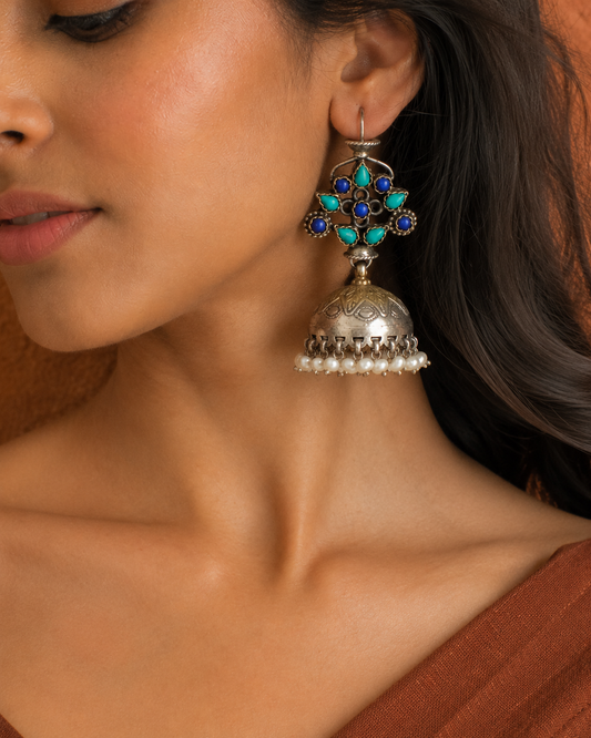 The Aishani