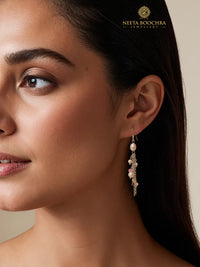 Chandrika 925 Silver Multicolor Dangler Earrings view 1