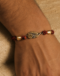 The Bandhan view 1