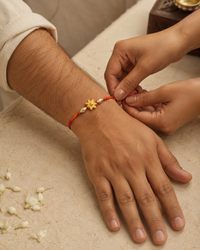 The Shubh view 3