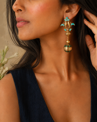 The Aranya view 1