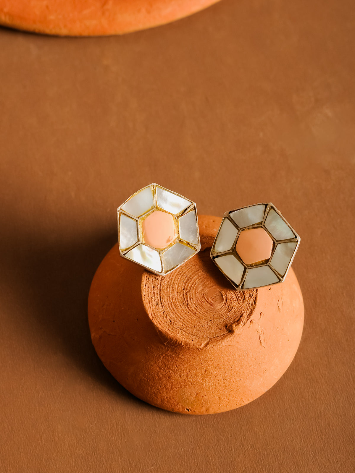 The Shashi Kundan view 2