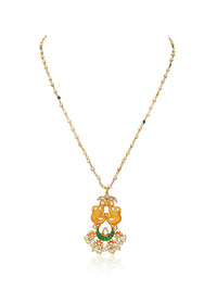 The Shikhandi view 5