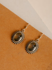 The Mriganka view 2