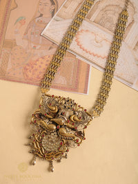 The Panchatantra view 2