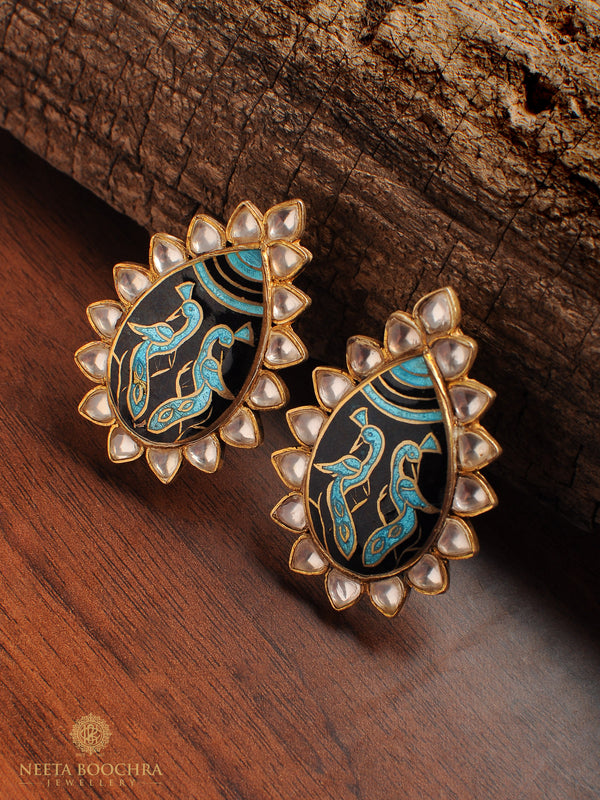 The Neelambari alternate view