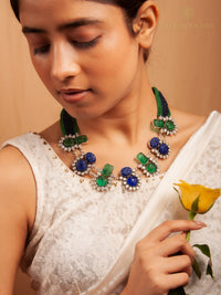 The Shyamala view 1