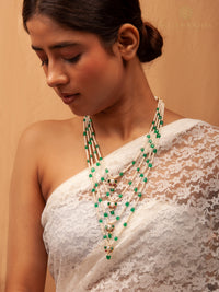 The Hemavati view 5