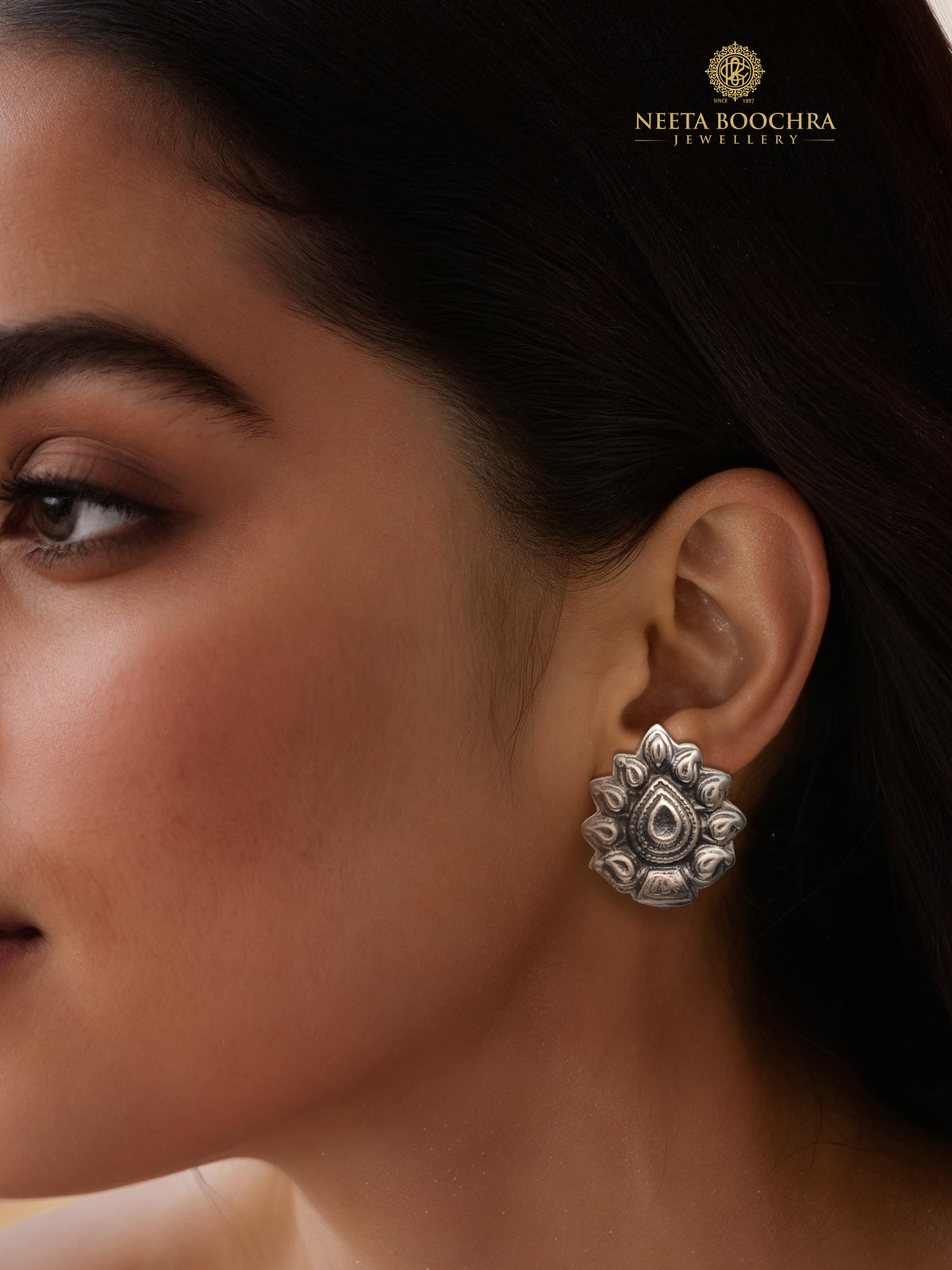 The Sukshma view 1