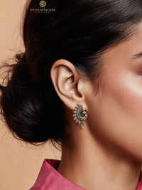 The Bindu view 1