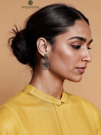 The Smriti view 4