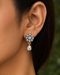 The Sitara Phool view 5