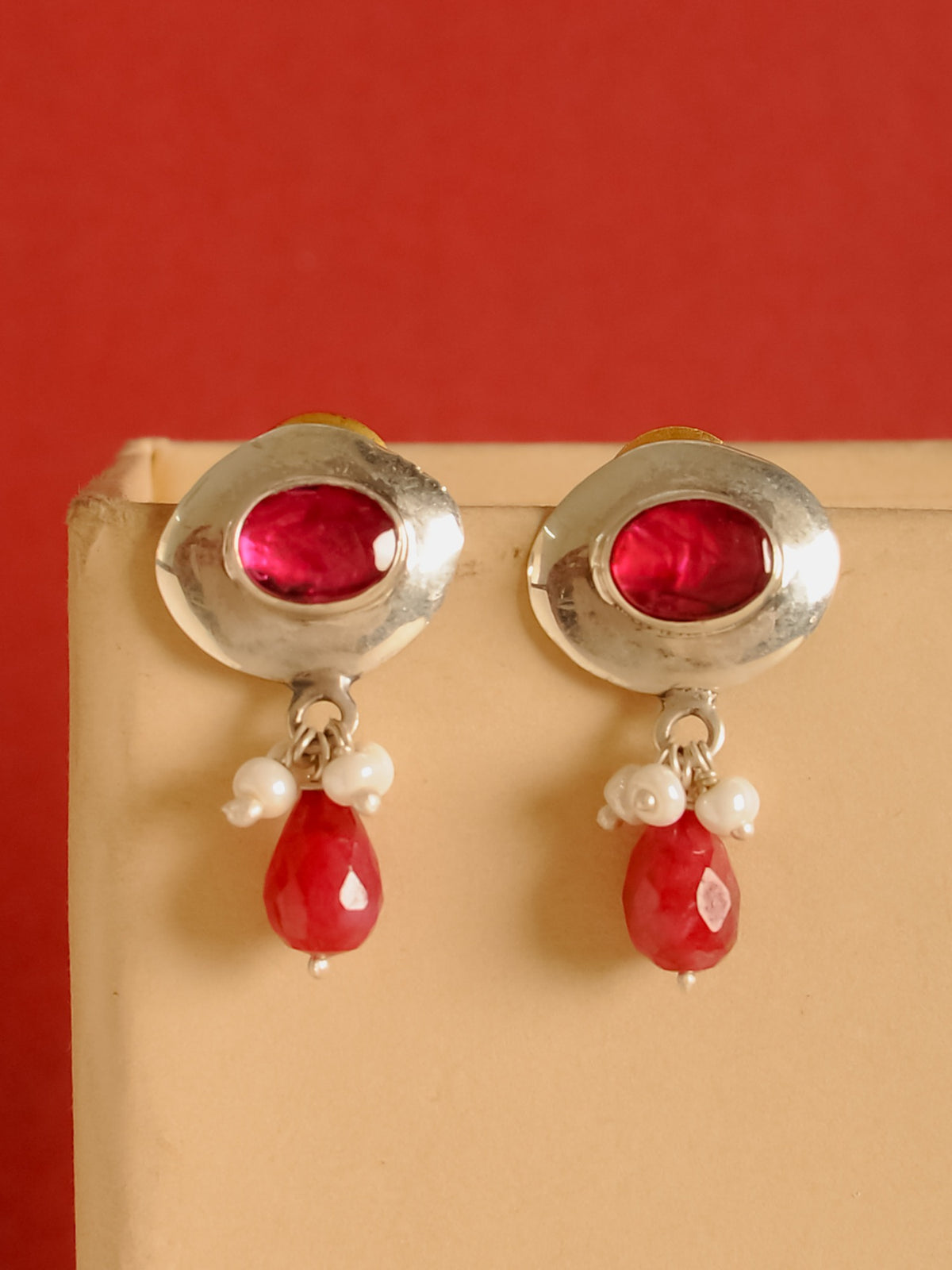 The Moti Laal view 5