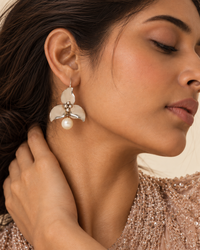 The Pushpa Moti view 2