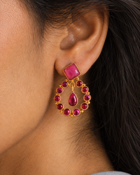 The Laal Chandrika view 5