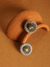 The Phool Mriganka view 2