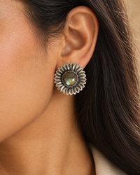 The Phool Mriganka view 3
