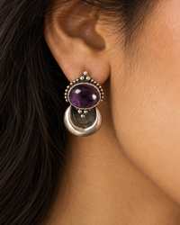 The Jamun Chand view 5