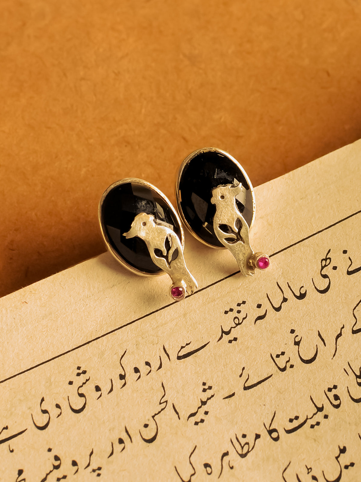 The Ashwa view 1