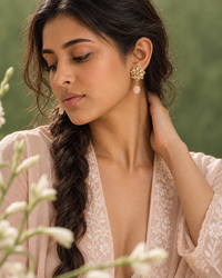 The Gulabi Gul view 6