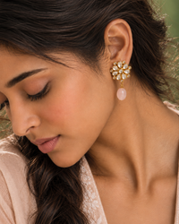 The Gulabi Gul view 2