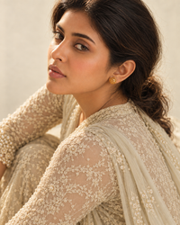 The Jaali Bindu view 4