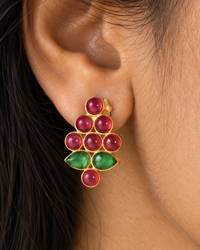 The Angoor Laal view 5