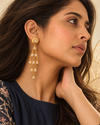 The Gulabi Jhoomar view 3