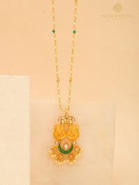 The Shikhandi view 2