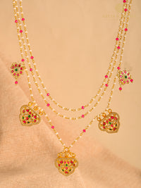 The Vasudha view 2