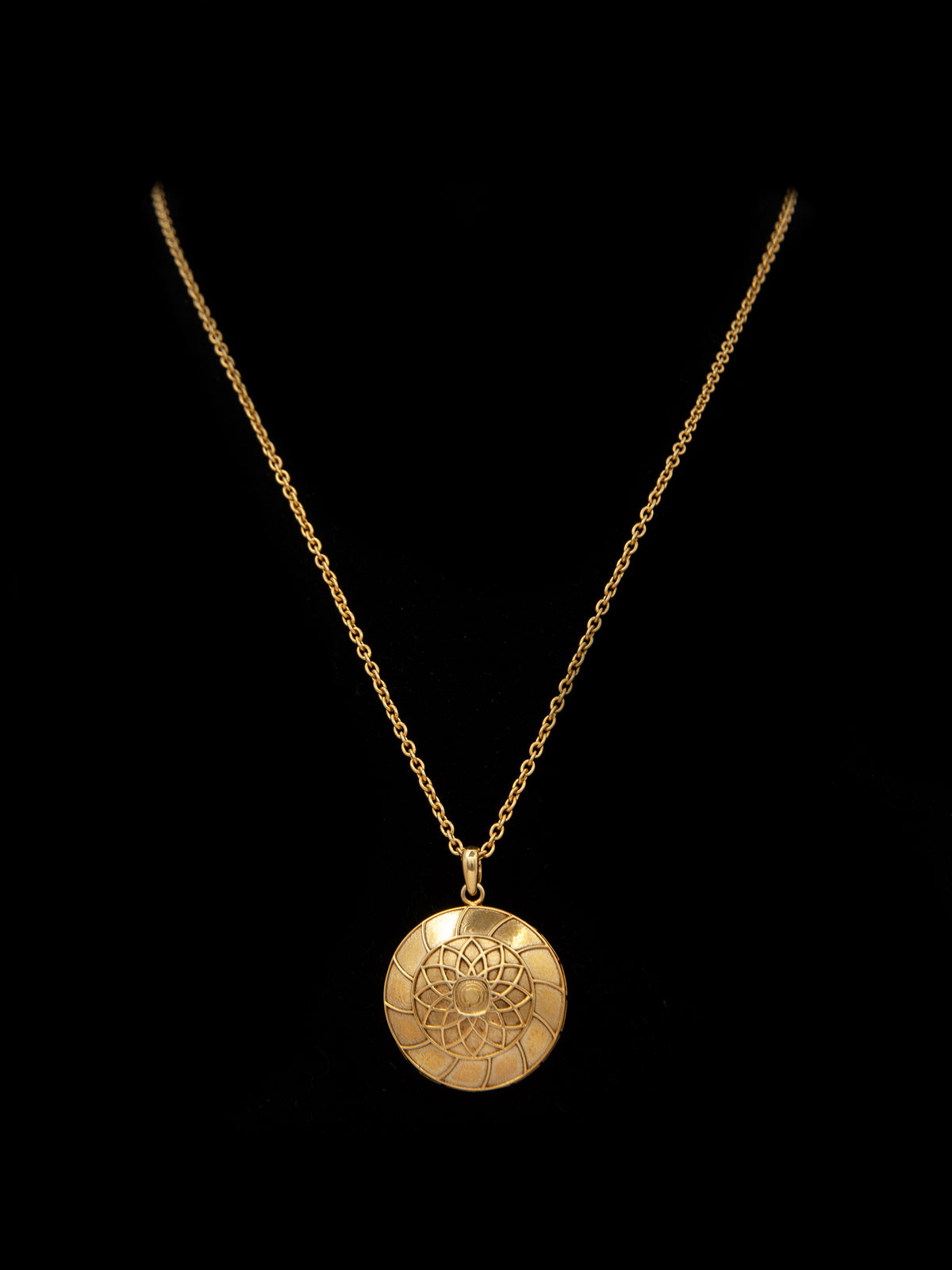 Golden Glow: 925 Silver Modern Everyday Wear Gold Plated Necklace view 1